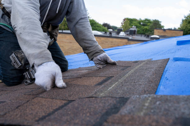 Best Roof Gutter Cleaning  in Fairfield Glade, TN